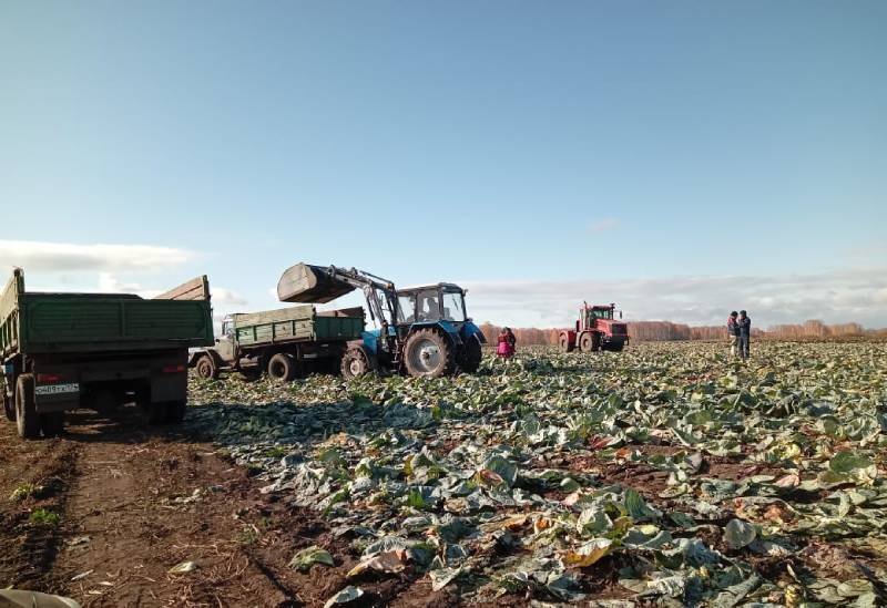 Сотрудники полиции провели рейд по овощным хозяйствам Аргаяшскго района